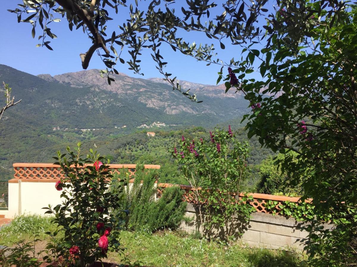 Casa Nepita Sur Vue Grandiose Apartamento Santa-Lucia-di-Tallano Exterior foto